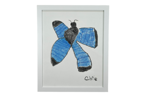 Blue Morpho by Chris Hensel
