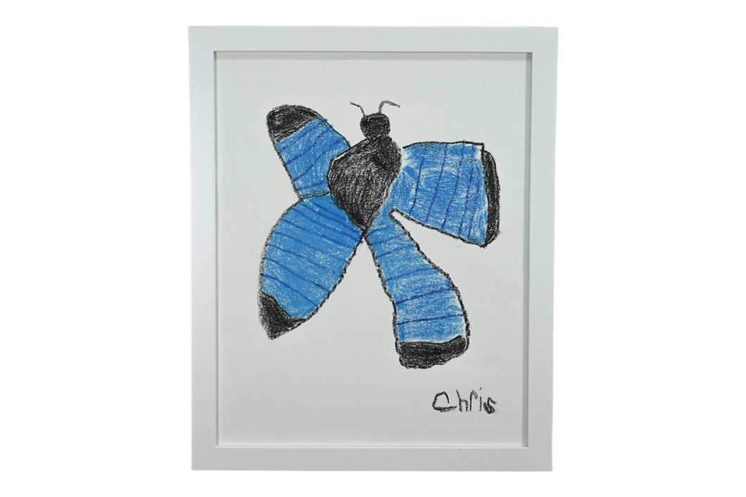 Blue Morpho by Chris Hensel