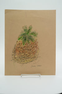 Pineapple on Paper