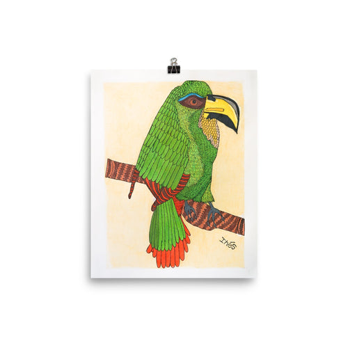 Print: Parrot by Inés Orihuela